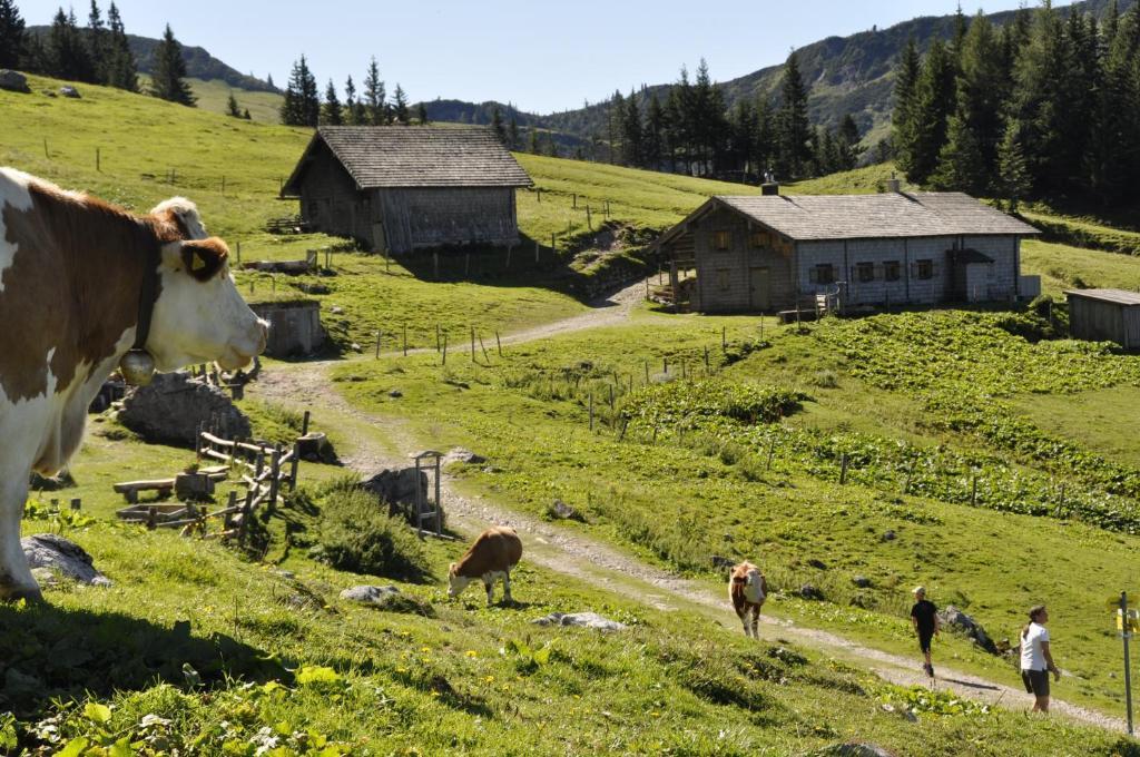 Landhaus Koller โกเซา ภายนอก รูปภาพ